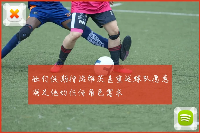 独行侠期待诺维茨基重返球队愿意满足他的任何角色需求